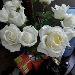 Meet your Posher, Marina